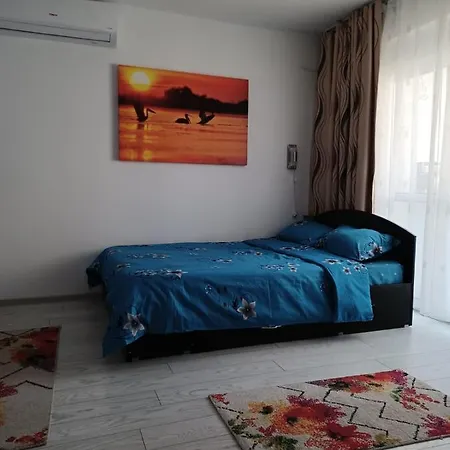 Apartament La Dudu *